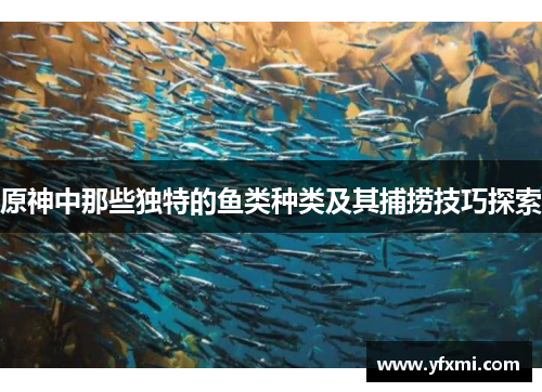 原神中那些独特的鱼类种类及其捕捞技巧探索