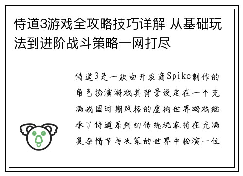 侍道3游戏全攻略技巧详解 从基础玩法到进阶战斗策略一网打尽